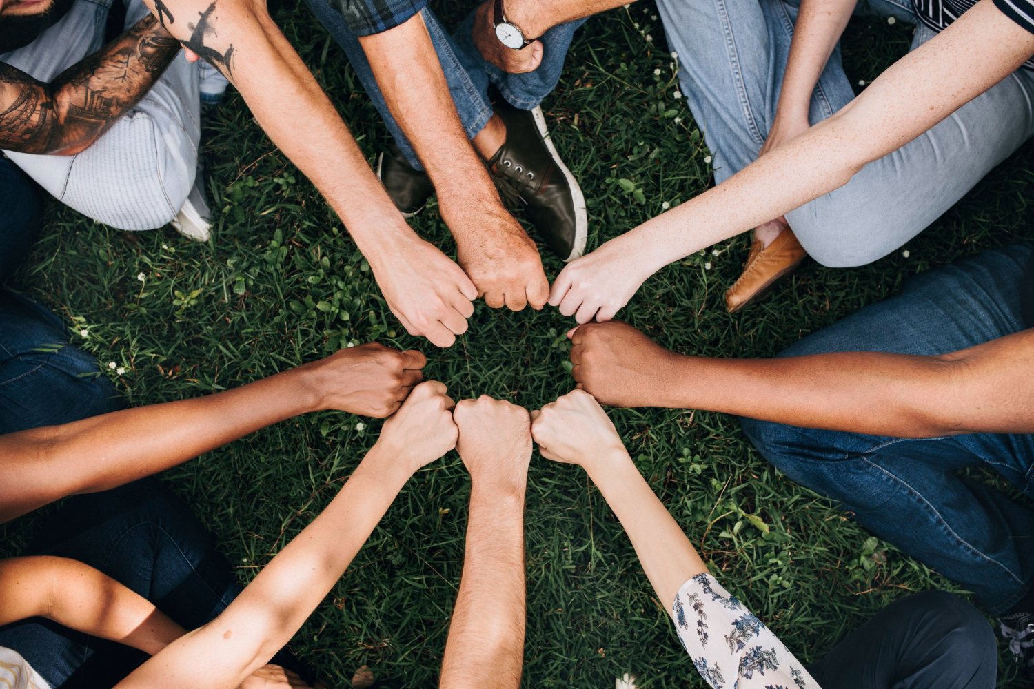 Social Impact Training